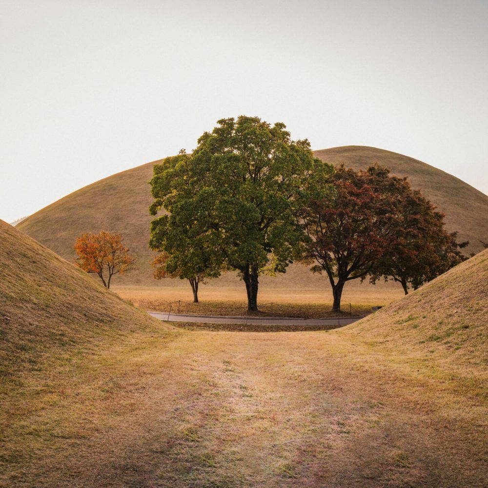 john-ko--QbSe116hLI-unsplash